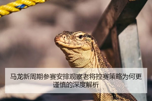 马龙新周期参赛安排观察老将控赛策略为何更谨慎的深度解析