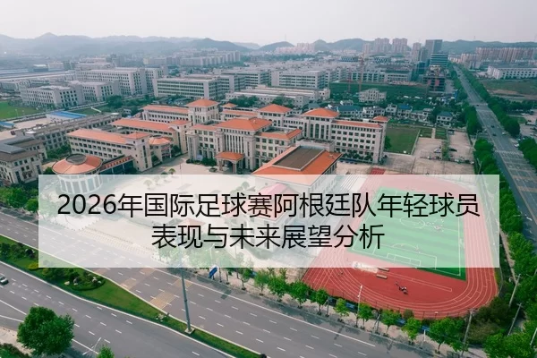 2026年国际足球赛阿根廷队年轻球员表现与未来展望分析