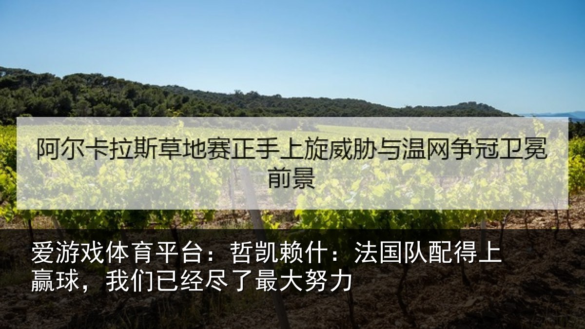 爱游戏体育平台:哲凯赖什:法国队配得上赢球,我们已经尽了最大努力