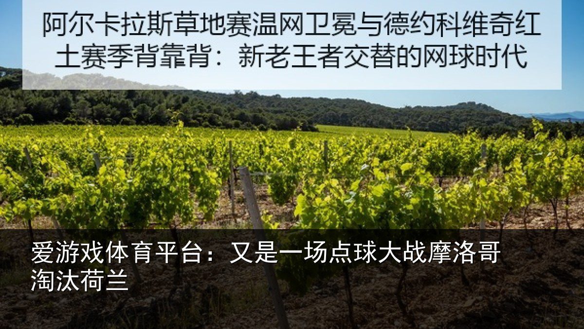 爱游戏体育平台:又是一场点球大战摩洛哥淘汰荷兰