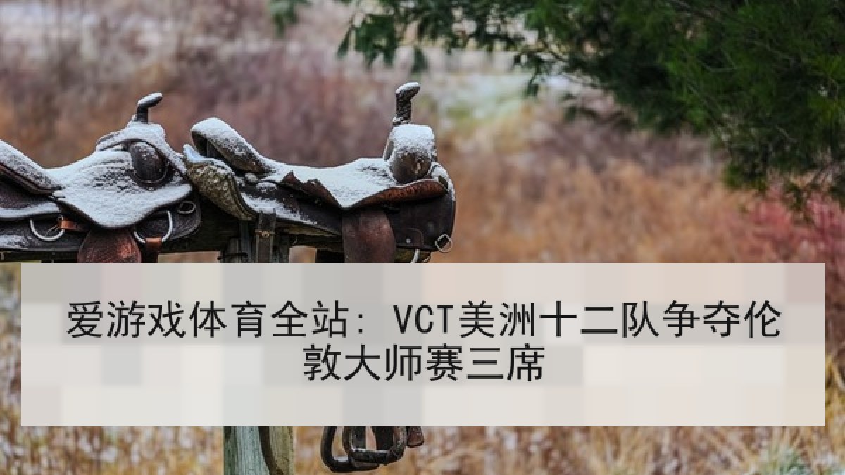 爱游戏体育全站: VCT美洲十二队争夺伦敦大师赛三席