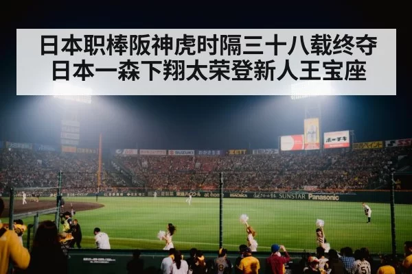 Japanese baseball stadium